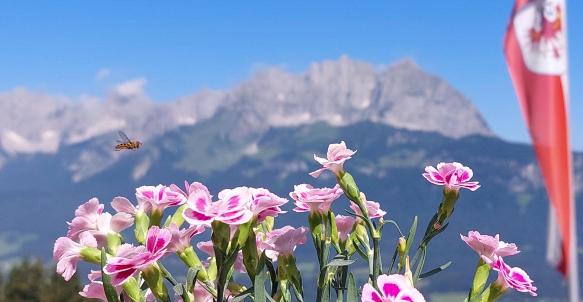 Chalet Terry St. Johann in Tirol Exterior foto